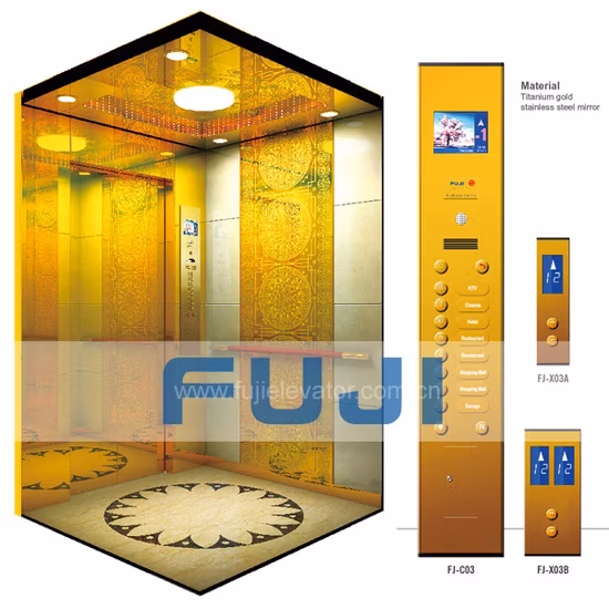 FUJI Good Price Passenger Elevator with Japan Technology