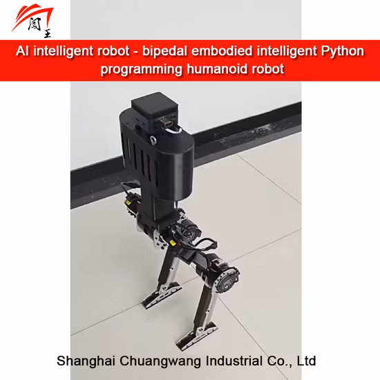New Product Intelligent Humanoid Robot