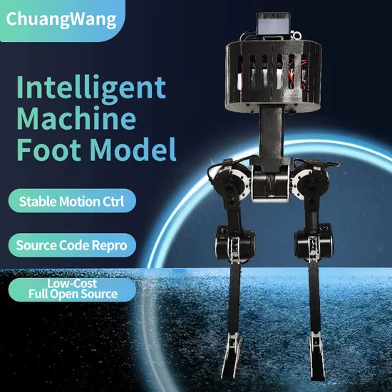 New Product Intelligent Humanoid Robot