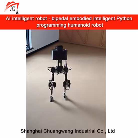 New Product Intelligent Humanoid Robot