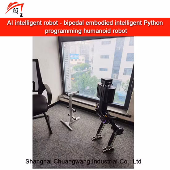 New Product Intelligent Humanoid Robot