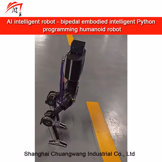 New Product Intelligent Humanoid Robot