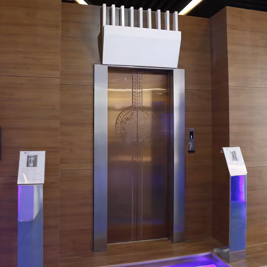 Paseo en movimiento Asai FUJI