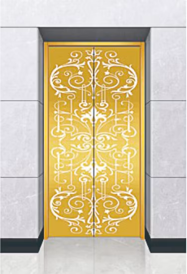 Ascensor de pasajeros Vvvf con ahorro de energía y costes con pequeña sala de máquinas