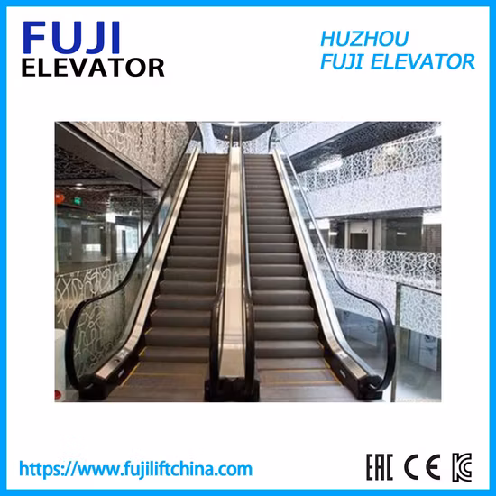 Escalera móvil comercial exterior interior de la fábrica de FUJI China paseo móvil con Vvvf y parada de inicio automático