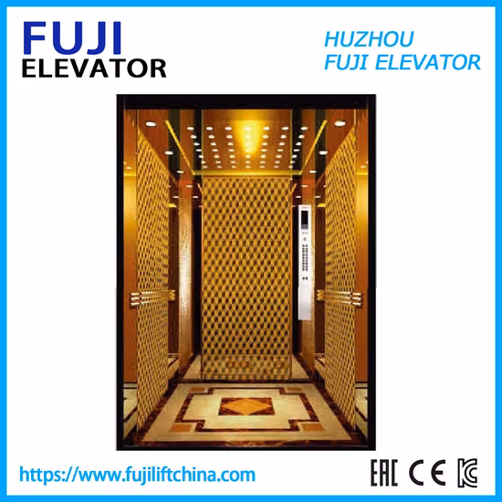 Elevador residencial de observación de carga panorámica de la casa de pasajeros FUJI en la fábrica de China